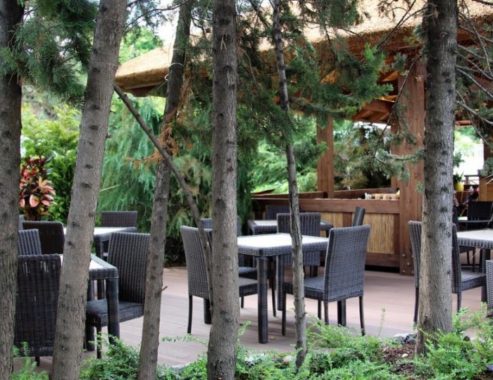 Бар и пиццерия «Тропикана» - Гранд отель «Жемчужина»